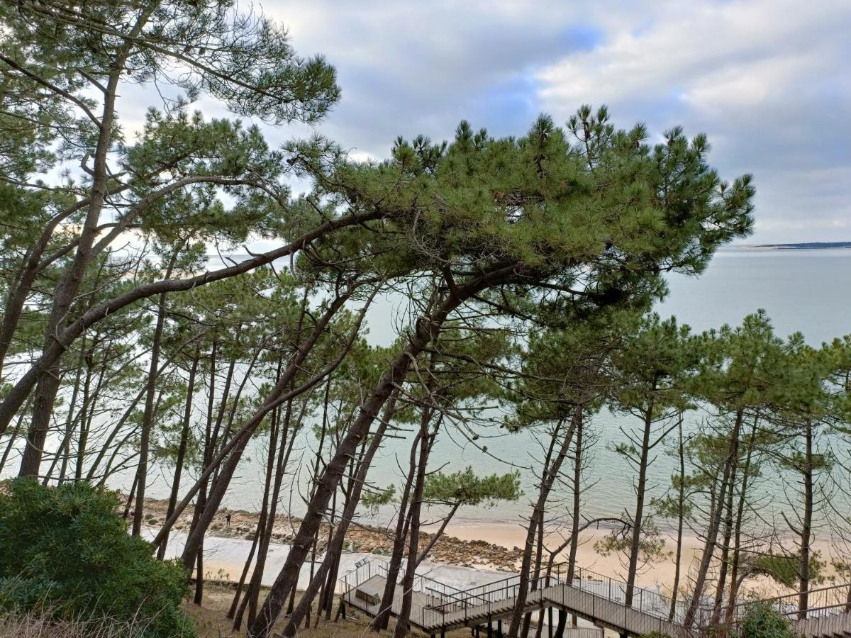 Chez Ced - Gujan-Mestras / Bassin D'Arcachon Extérieur photo